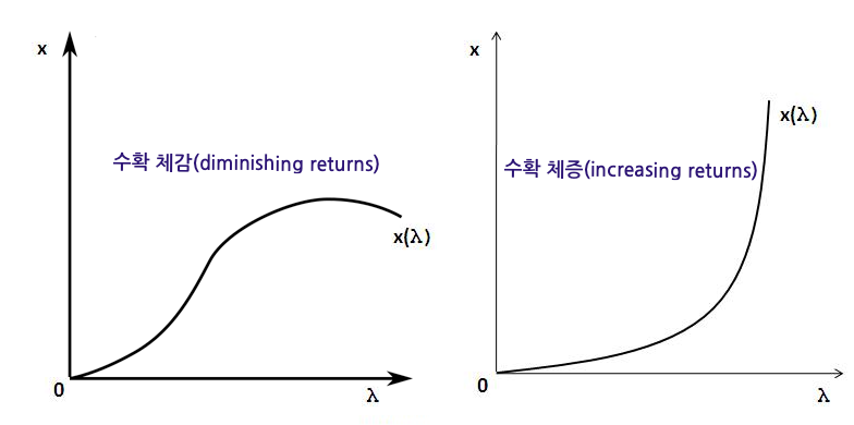 전통 (신)고전학파 경제이론에 따르면 생산함수는 수확 체감의 법칙을 따른다. 디지털 경제 혁명은 일부 생산함수에 수확 체증의 가능성을 제공한다.