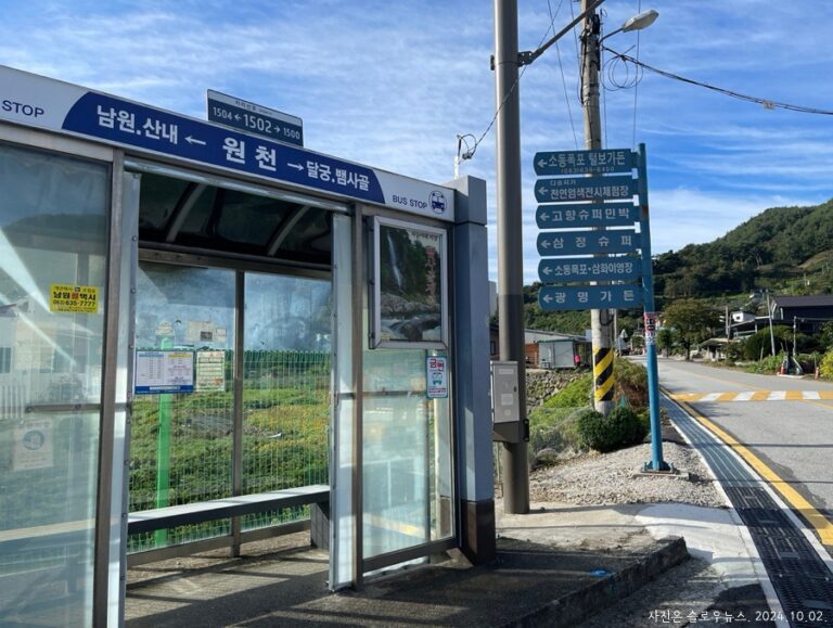 한국 지방의회는 왜 이렇게 약할까?