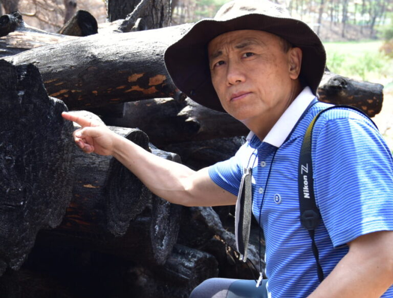 “의성 산불 키운 소나무 불폭탄, 혼효림이 해법이다.”