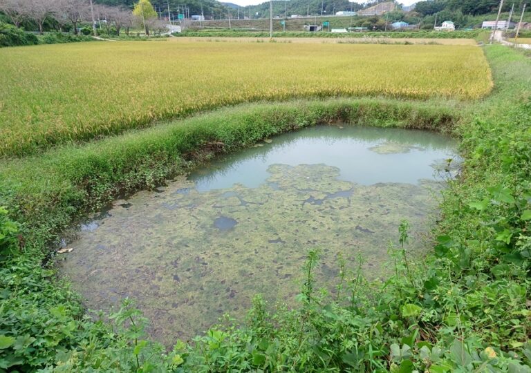 둠벙의 있고 없고와 크고 작고는 어떻게 결정될까?