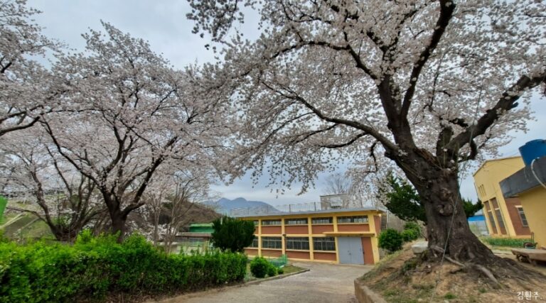 일제강점 아래 조선인 피땀으로 이뤄진