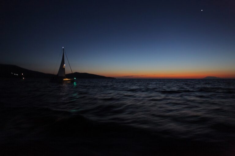 분열하는 세계: 미국의 불안, 중국의 자신감