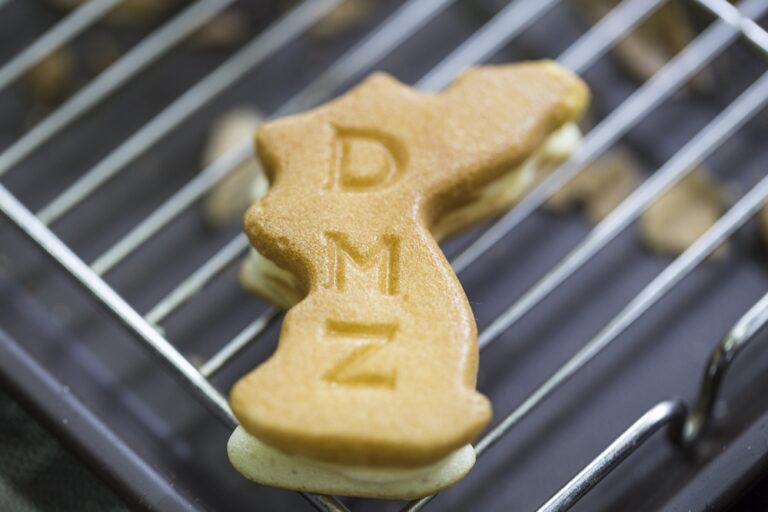 ‘DMZ 회랑’, AI 시대 한반도 미래 전략